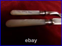 12 Piece Antique Mother of Pearl Knife and Fork Set In Canteen Box