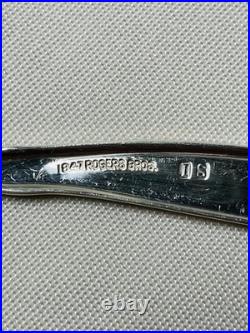 1847 Rogers Bros Vintage Silver Plate Leilani 51 Piece Flatware Set For 8