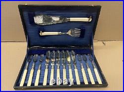 19th Century Antique 14 Piece Boxed Silver Collection Cutlery Set Bone Handles