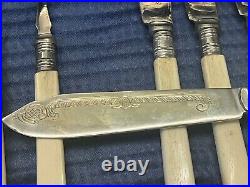 19th Century Antique 14 Piece Boxed Silver Collection Cutlery Set Bone Handles