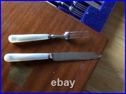 24 Piece Canteen Of Mother Of Pearl & Silver Plated Dining Knives & Forks(ff-73)