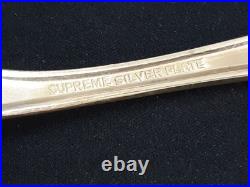 31 piece Set Supreme Silver Plate Flatware Concept Pattern svc for 8