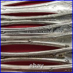 32 Pc VINTAGE Grape Silverplated MIX 1847 Rogers & Bro Mono / Craft Lot