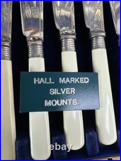 Antique Edwardian 24 piece Silver Plated Fish cutlery Set Silver Mounts