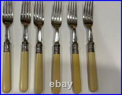 Antique Silver plate 26 pc cutlery set Walker & Hall and custom box