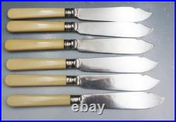 Antique Walker & Hall 12 Piece Silver Plate Fish Cutlery Set with Fitted Case