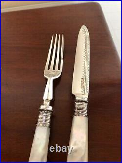 Cased 24 Piece Silver Plated & Mother Of Pearl Fruit Knives & Forks (mop-ffx)