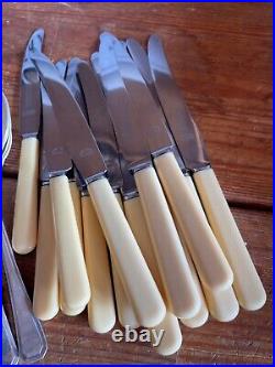 Cutlery Set WINEGARTENS BISHOPSGATE LONDON SILVER PLATE FAUX BONE 44 PIECES