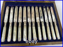 EPNS Silver Plate 24 Piece Canteen of Cutlery Mother Of Pearl
