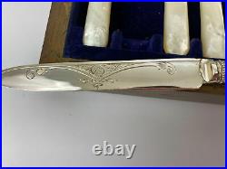 EPNS Silver Plate 24 Piece Canteen of Cutlery Mother Of Pearl