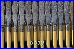 English antique bone-handled silver plate 12 piece fish cutlery set