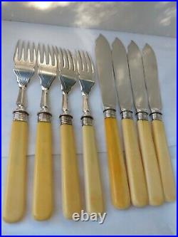 Glorious 8 Piece Antique Fish Knives Forks Great Handle Sheff Silver Collar 1902