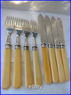 Glorious 8 Piece Antique Fish Knives Forks Great Handle Sheff Silver Collar 1902