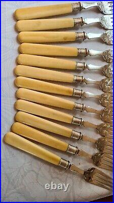 JAMES DIXON & SONS Etched Epns Bone Handle 24 Piece Wood Canteen Fish Cutlery