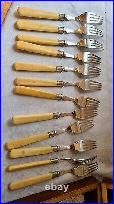 JAMES DIXON & SONS Etched Epns Bone Handle 24 Piece Wood Canteen Fish Cutlery