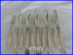 Lovely 20 Piece Silver Plate & Mother Of Pearl Dessert Cutlery Set. Great Handles