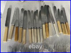Over 100 Pieces Of Silver Plate/bone Handled/faux Bone Handled Cutlery Vintage