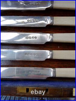 SUPERB Antique HARRODS 12 Piece Silver Plate FRUIT DESSERT Knife & Fork Set
