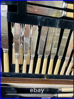 Vintage EPNS & Faux Bone Canteen of Cutlery 63 Pieces for 6 by KWS