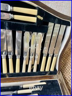 Vintage EPNS & Faux Bone Canteen of Cutlery 63 Pieces for 6 by KWS