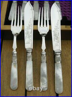 Vintage Mother of Pearl Fish Knives & Forks Silver Plated 24 Piece In Canteen