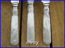 Vintage Mother of Pearl Fish Knives & Forks Silver Plated 24 Piece In Canteen