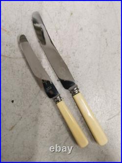 Vintage Viners Ltd Sheffield EPNS Electro Plate 53 Piece Canteen of Cutlery