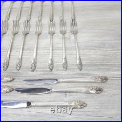 Vtg Community Oneida Evening Star Silver Plate 44 Piece Silverware Serving For 8