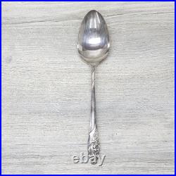 Vtg Community Oneida Evening Star Silver Plate 44 Piece Silverware Serving For 8